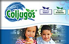 Dise&ntilde;o Sitio Web